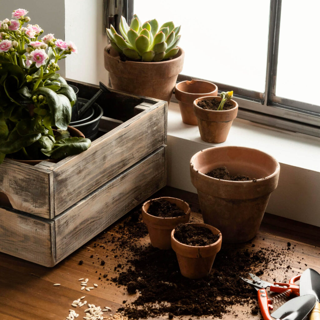 Planten binnen kweken in huis